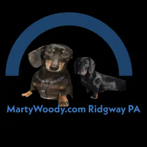 This is the logo for our website