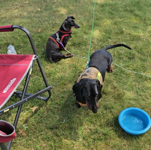 The boys out front