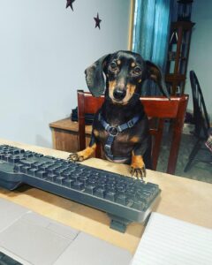 Marty is working hard at the keyboard, getting everything all set up. This was actually during COVID, but it works well today