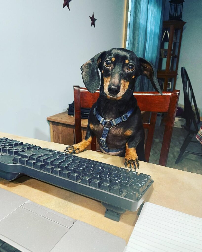 Marty is working hard at the keyboard, getting everything all set up. This was actually during COVID, but it works well today